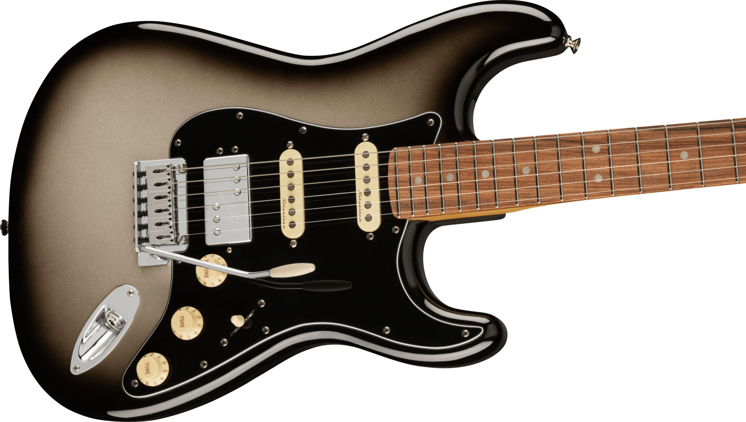 Player Plus Stratocaster® HSS, Pau Ferro Fingerboard, Silverburst - Image 5