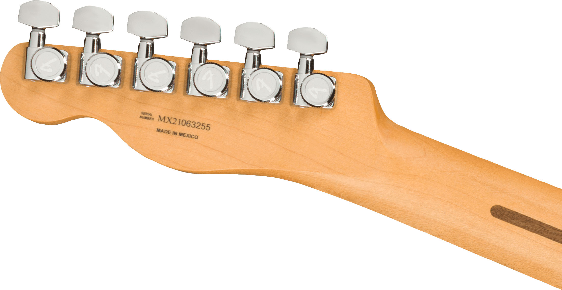 Player Plus Nashville Telecaster®, Pau Ferro Fingerboard, Opal Spark - Image 7