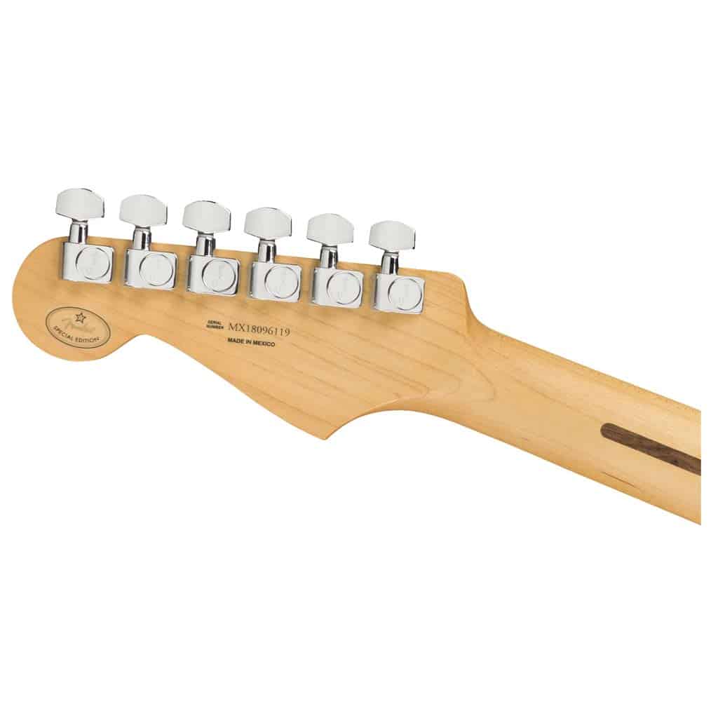 Fender Limited Edition Player Stratocaster®, Maple Fingerboard, Inca Silver - Image 4