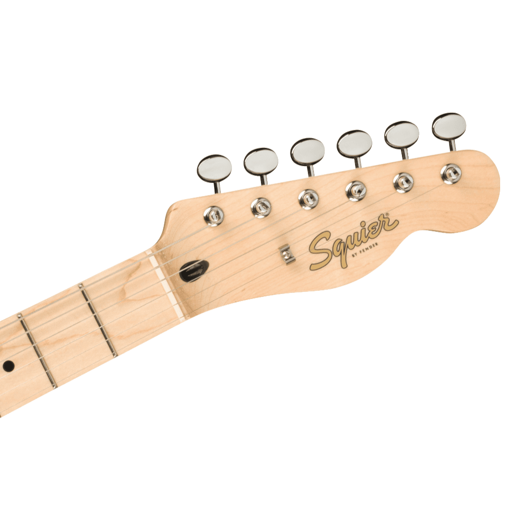 Paranormal Offset Telecaster®, Maple Fingerboard, Tortoiseshell Pickguard, Olympic White - Image 5