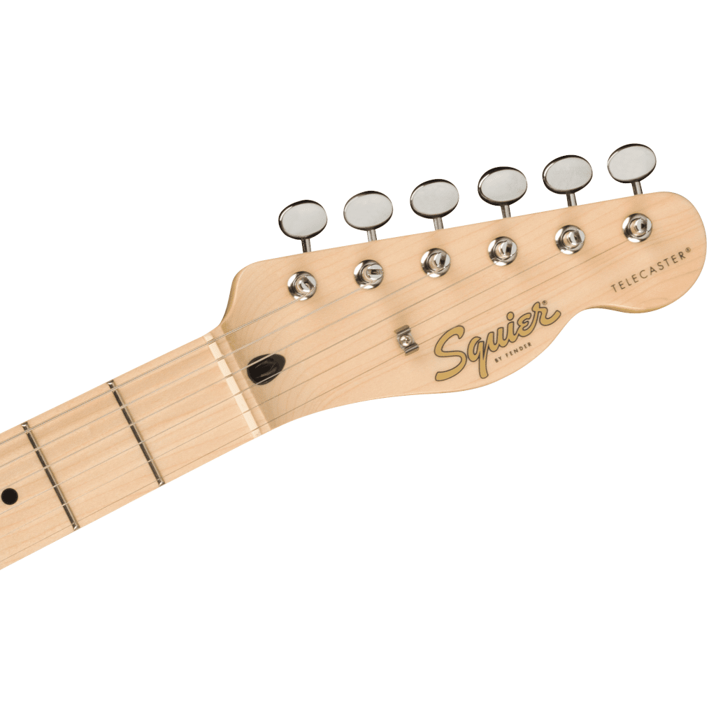 Paranormal Cabronita Telecaster® Thinline, Maple Fingerboard, Gold Anodized Pickguard, 2-Color Sunburst - Image 5