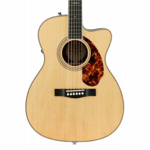 Fender Ltd. Ed. Paramount PM3 0 - Solid Adirondack Spruce Top