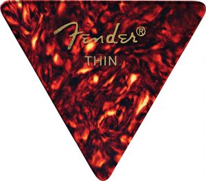 355 Shape, Shell, Thin (12)
