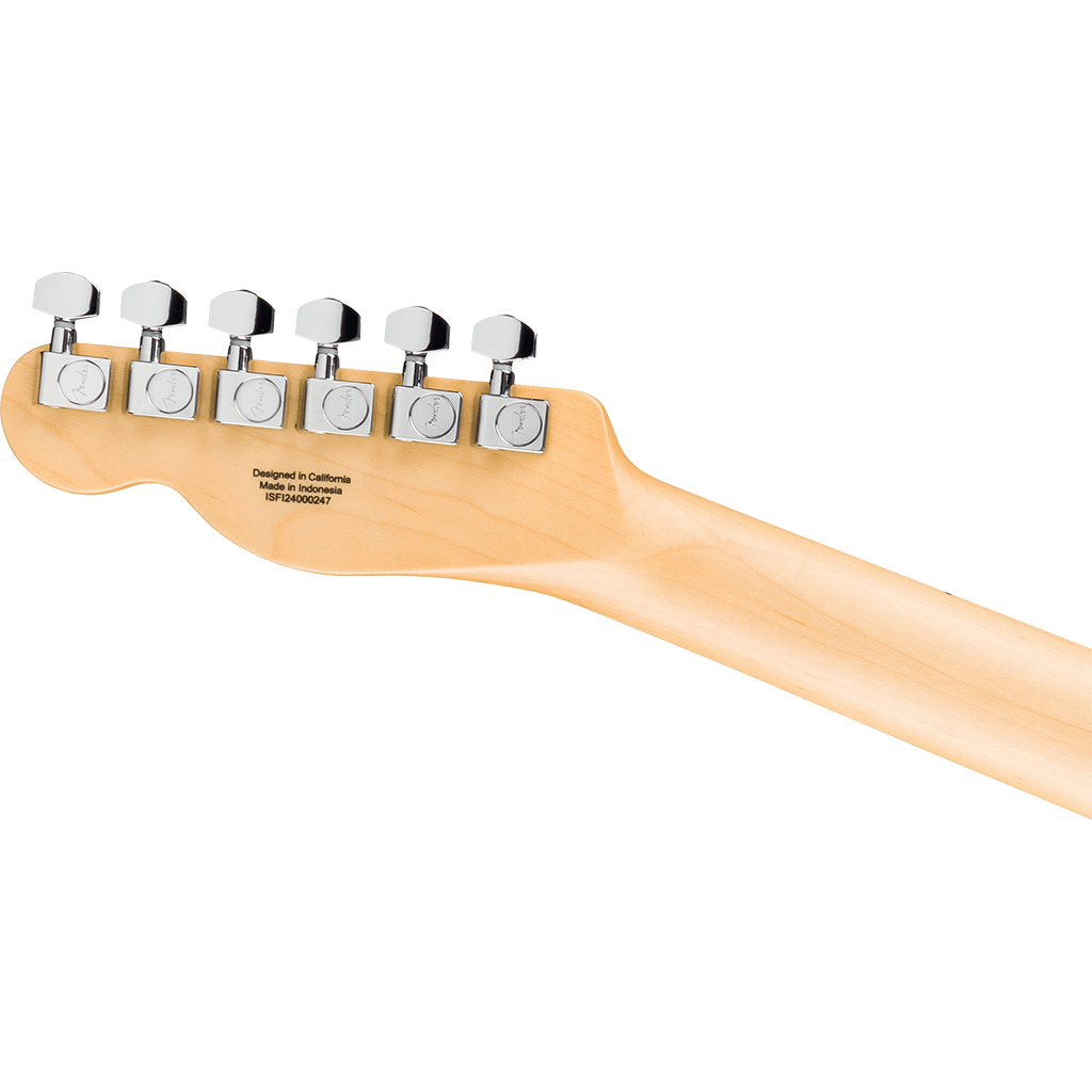 Fender Standard Telecaster® Electric Guitar Maple Fingerboard - Butterscotch Blonde - Image 6