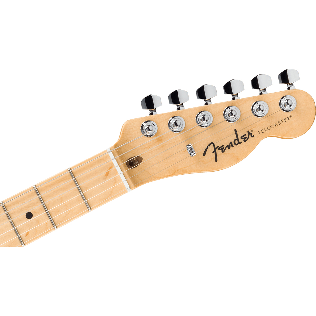 Fender Standard Telecaster® Electric Guitar Maple Fingerboard - Butterscotch Blonde - Image 5