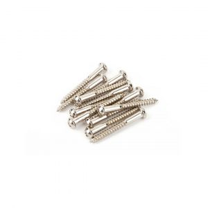 Vintage-Style Stratocaster® Bridge Mounting Screws (12) (Phillips head) (Nickel)