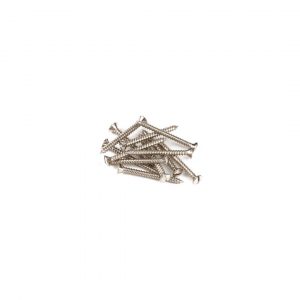 Pure Vintage Slotted Telecaster® Neck Mounting Screws, Nickel (12)