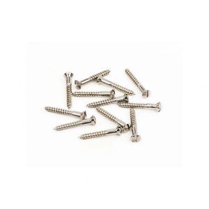 Pure Vintage Slotted Telecaster® Bridge/Strap Button Mounting Screws, Nickel (12)