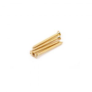 Neck Mounting Screws, Gold, (4)