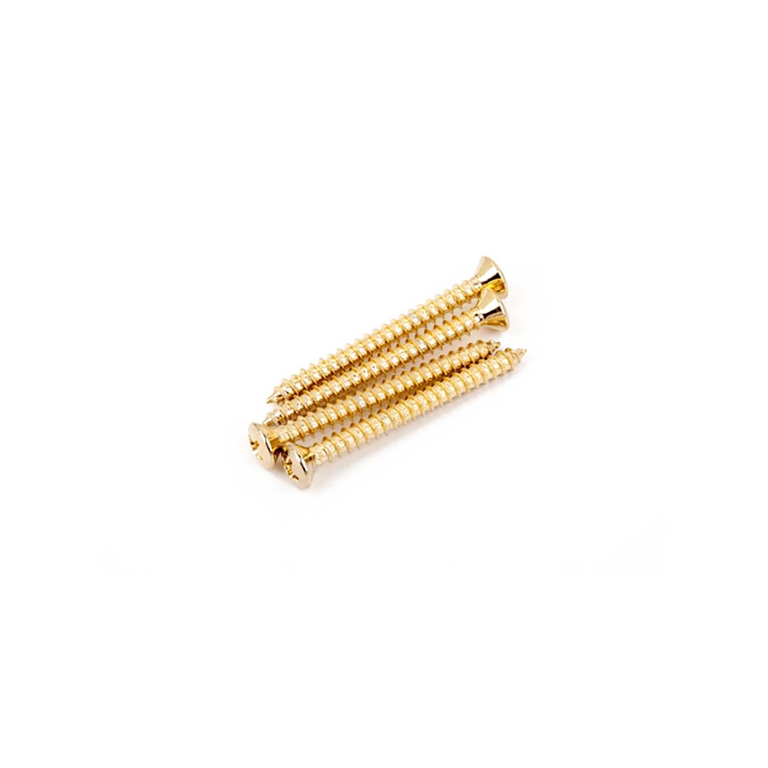 Neck Mounting Screws, Gold, (4)
