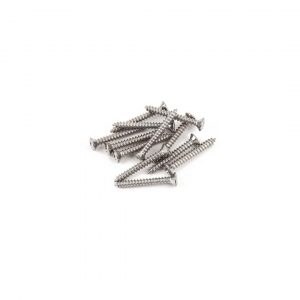 Bass/Telecaster® Bridge/Strap Button Mounting Screws, Phillips-Head, Chrome, (12)
