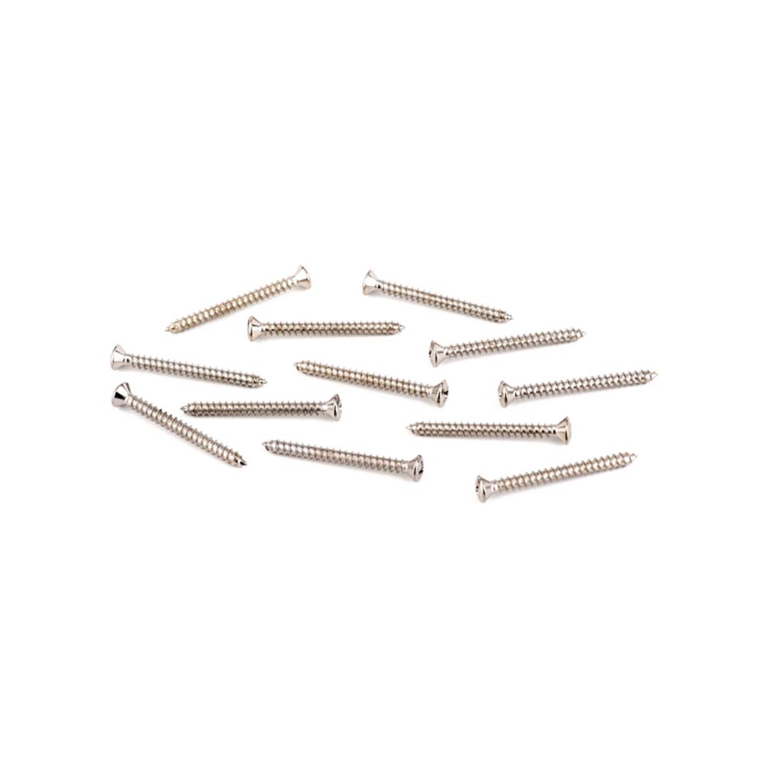 Neck Plate Mounting Screws - American Standard/Deluxe Guitars, Sheet Metal (8 X 1-3/4"), Chrome (12)
