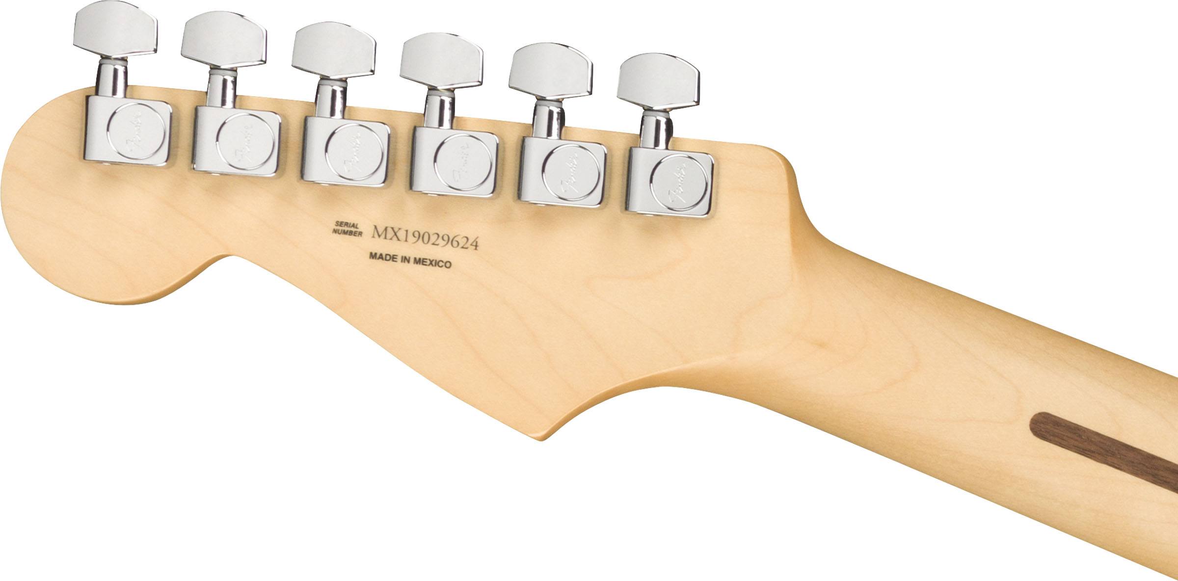 Player Duo Sonic™, Maple Fingerboard, Tidepool - Image 7