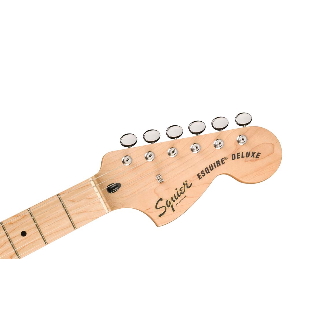 Paranormal Esquire® Deluxe, Maple Fingerboard, Black Pickguard, Mocha - Image 6