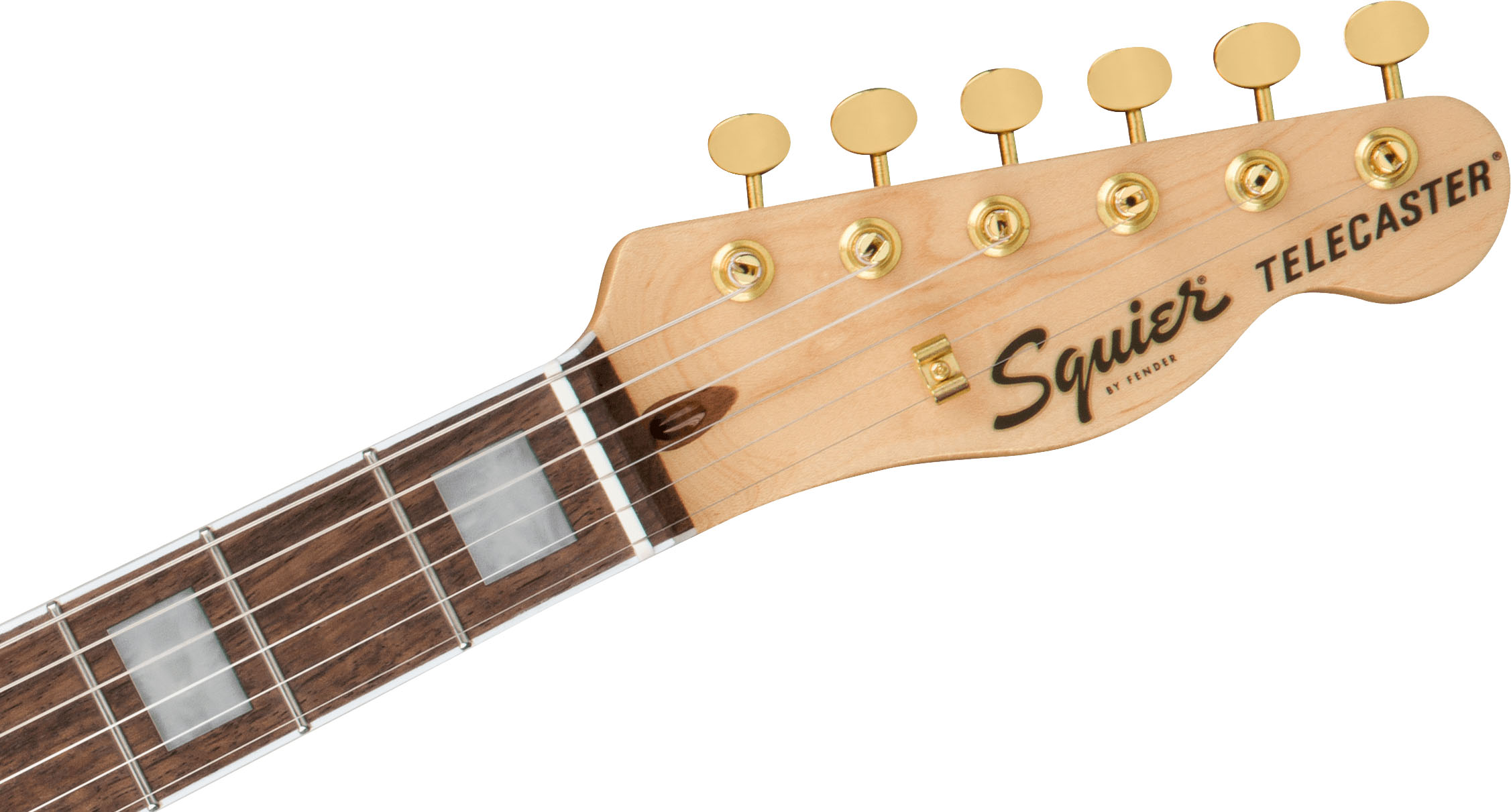 40th Anniversary Telecaster®, Gold Edition, Laurel Fingerboard, Gold Anodized Pickguard, Black - Image 6