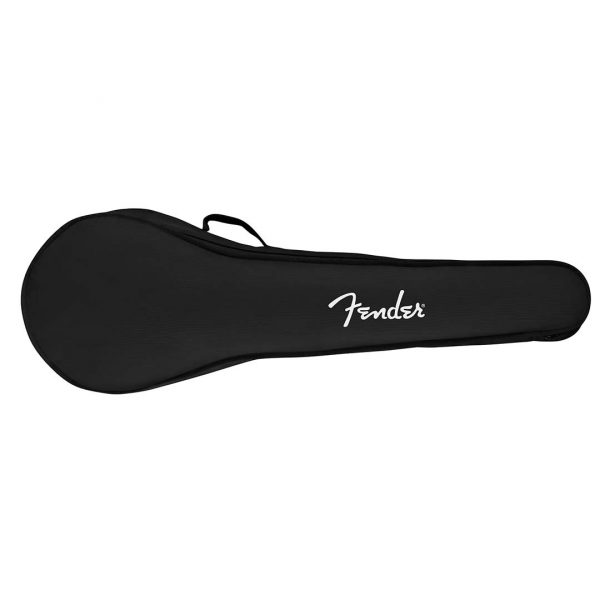 PB-180E Banjo, Walnut Fingerboard, Natural - Image 8