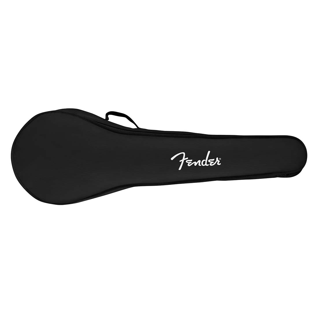 PB-180E Banjo, Walnut Fingerboard, Natural - Image 8