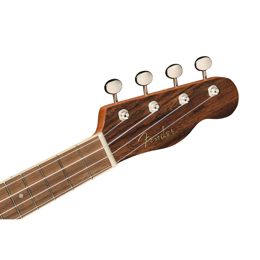 Zuma Exotic Concert Ukulele, Walnut Fingerboard, Bocote - Image 6