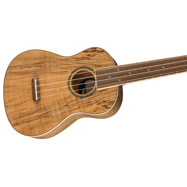 Zuma Exotic Concert Ukulele, Walnut Fingerboard, Spalted Maple - Image 5