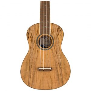 Zuma Exotic Concert Ukulele, Walnut Fingerboard, Spalted Maple