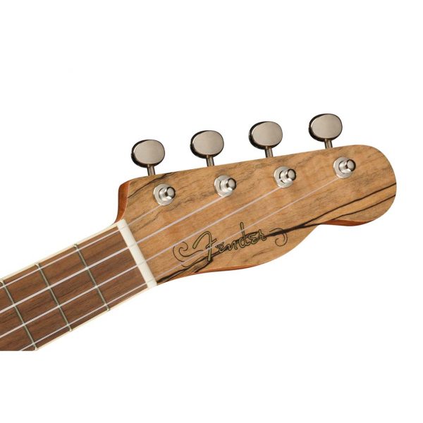 Zuma Exotic Concert Ukulele, Walnut Fingerboard, Spalted Maple - Image 6