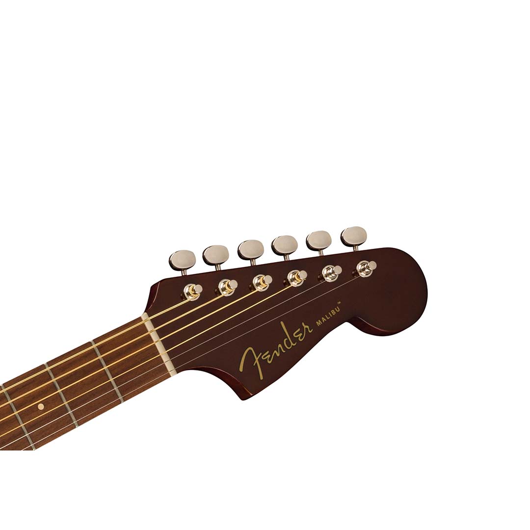 Malibu Player, Walnut Fingerboard, Gold Pickguard, Natural - Image 6
