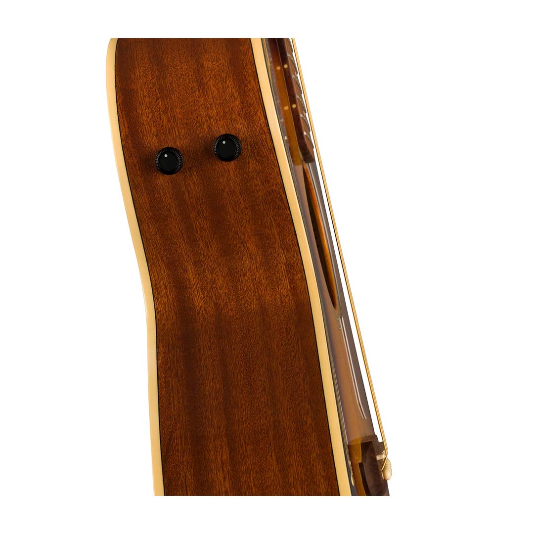 Newporter Player, Walnut Fingerboard, Gold Pickguard, Sunburst - Image 8