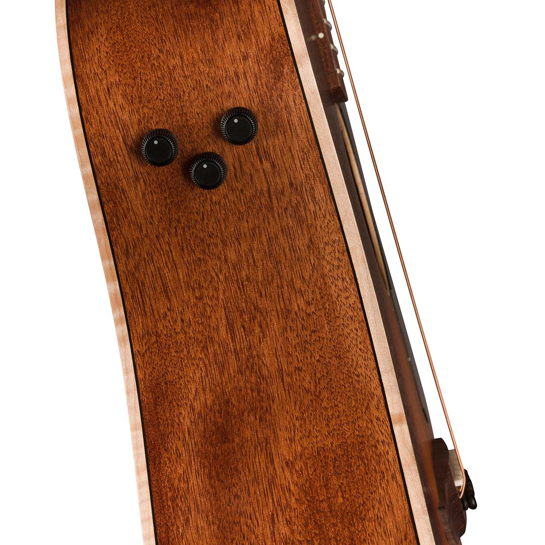 Redondo Special, Pau Ferro Fingerboard, Black Pickguard, Honey Burst - Image 8