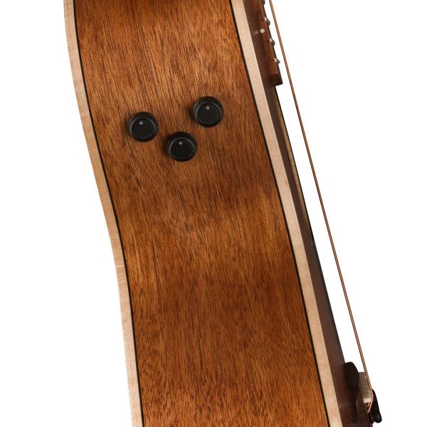 Newporter Special, Pau Ferro Fingerboard, Black Pickguard, Natural - Image 8