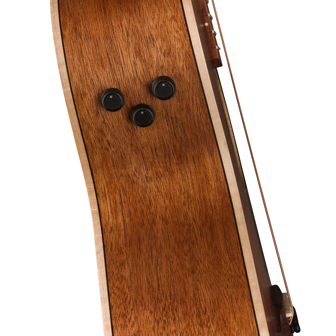 Newporter Special, Pau Ferro Fingerboard, Black Pickguard, Natural - Image 8