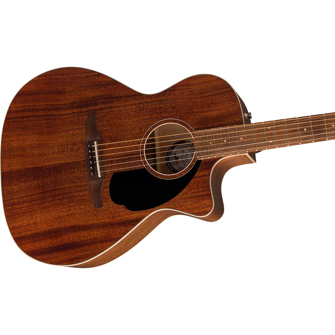 Newporter Special, Pau Ferro Fingerboard, Black Pickguard, Natural - Image 5