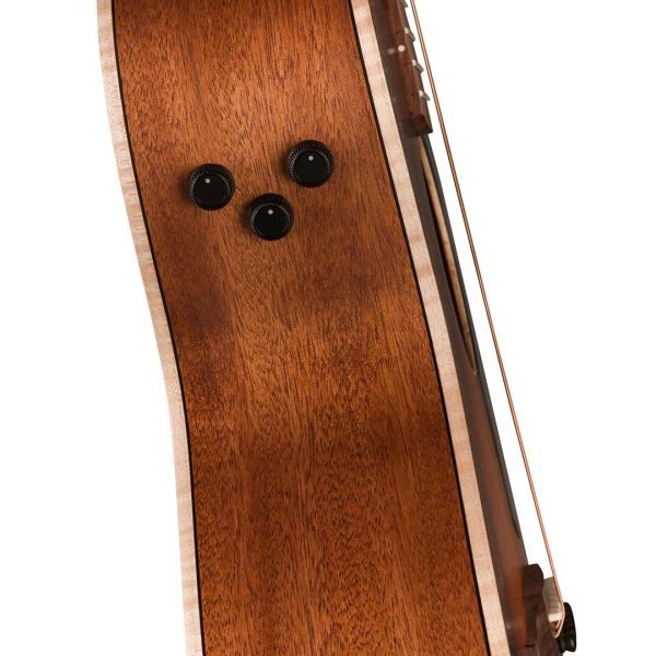 Newporter Special, Pau Ferro Fingerboard, Black Pickguard, Honey Burst - Image 8