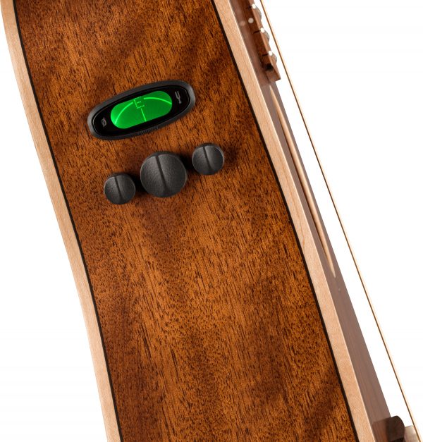 Malibu Special with Bag, All Mahogany, Pau Ferro Fingerboard, Natural - Image 8