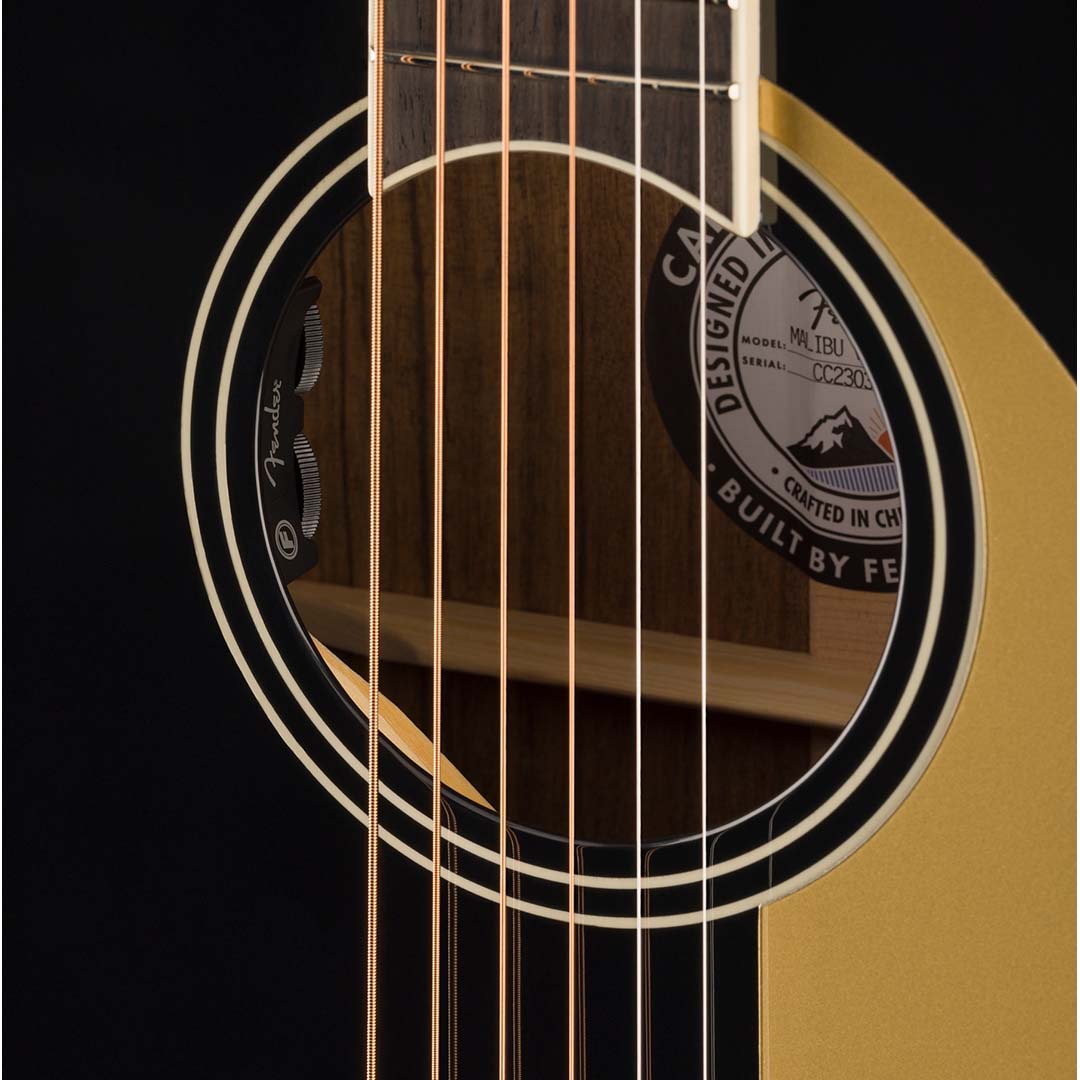 Malibu Vintage, Ovangkol Fingerboard, Gold Pickguard, Black - Image 8