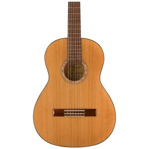 FA-15N 3/4 Nylon w/ Gig Bag