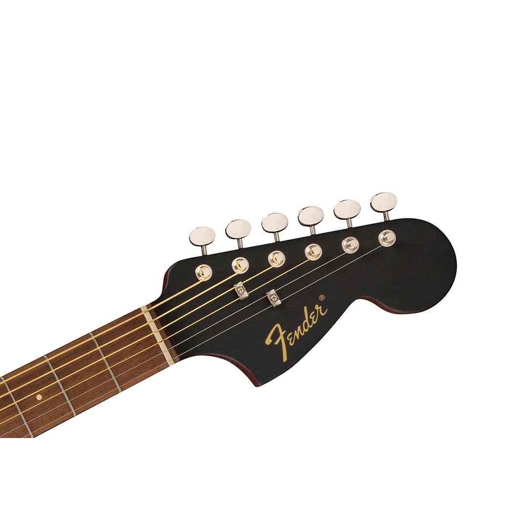 Monterey Standard, Walnut Fingerboard, Black Top - Image 6