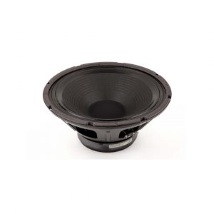 Standard Speaker, 12", 8 ohm, 100 watt