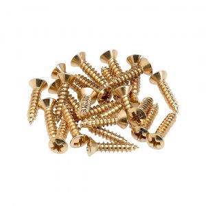 Pickguard/Control Plate Mounting Screws (24) (Gold)
