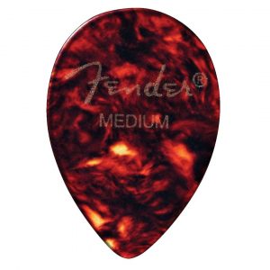 358 Shape, Shell, Medium (12)