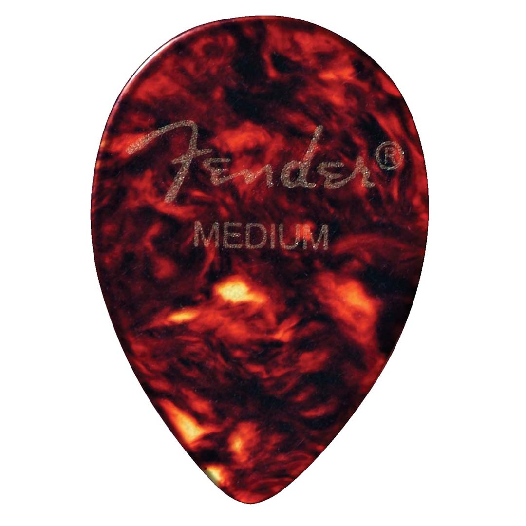 358 Shape, Shell, Medium (12)