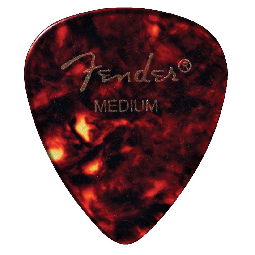 451 Shape, Shell, Medium (12)